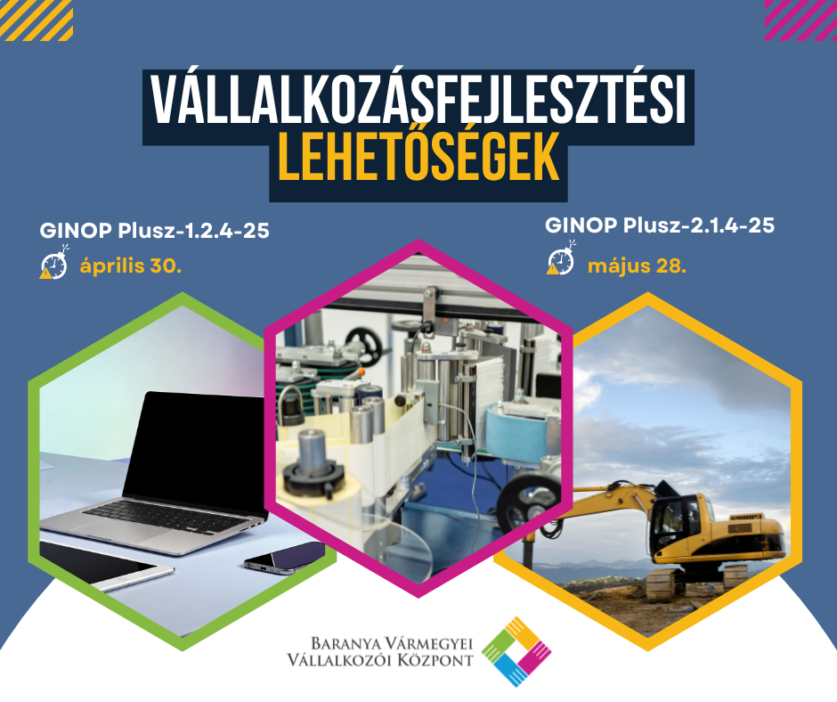 vallalkozasfejlesztes ginop